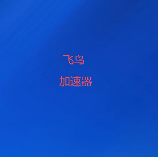 飞鸟VPN-极速稳定的VPN代理，华人专用的全球网络翻墙软件